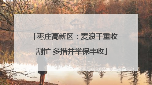 枣庄高新区：麦浪千重收割忙 多措并举保丰收