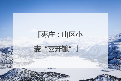 枣庄：山区小麦“喜开镰”