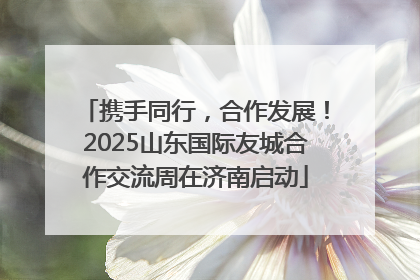 携手同行，合作发展！2025山东国际友城合作交流周在济南启动