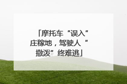 摩托车“误入”庄稼地，驾驶人“撒泼”终难逃