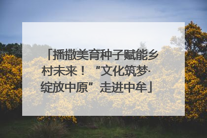 播撒美育种子赋能乡村未来！“文化筑梦·绽放中原”走进中牟