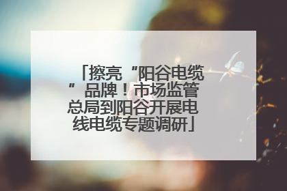 擦亮“阳谷电缆”品牌！市场监管总局到阳谷开展电线电缆专题调研