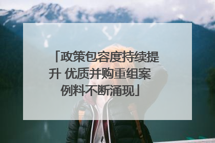 政策包容度持续提升 优质并购重组案例料不断涌现