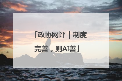 政协网评｜制度完善，则AI善