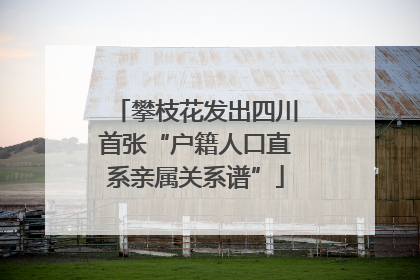 攀枝花发出四川首张“户籍人口直系亲属关系谱”