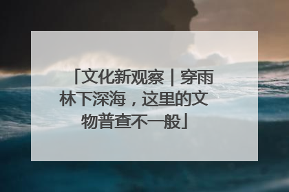 文化新观察｜穿雨林下深海，这里的文物普查不一般