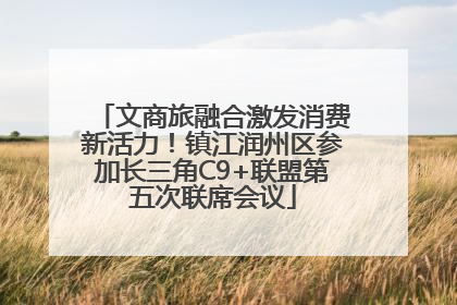 文商旅融合激发消费新活力！镇江润州区参加长三角C9+联盟第五次联席会议