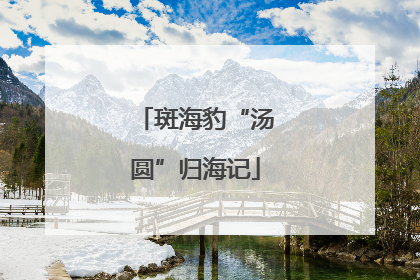 斑海豹“汤圆”归海记