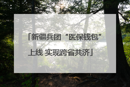 新疆兵团“医保钱包”上线 实现跨省共济