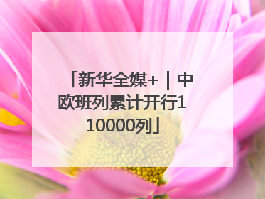 新华全媒+｜中欧班列累计开行110000列