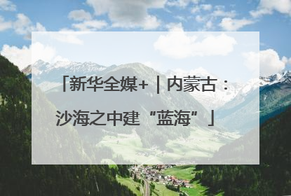 新华全媒+｜内蒙古：沙海之中建“蓝海”