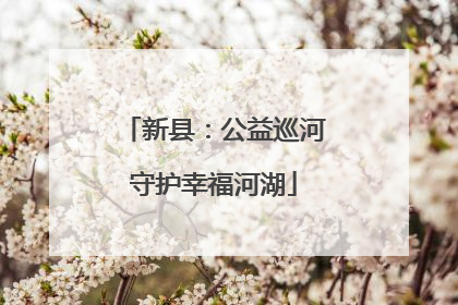 新县：公益巡河守护幸福河湖