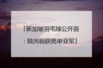 新加坡羽毛球公开赛：陆光祖获男单亚军