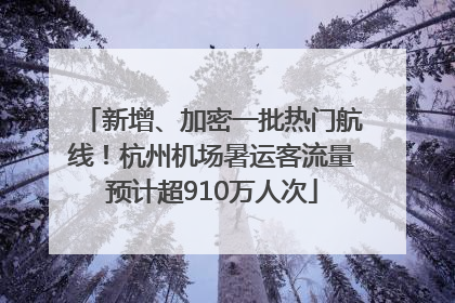 新增、加密一批热门航线！杭州机场暑运客流量预计超910万人次