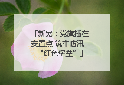 新晃：党旗插在安置点 筑牢防汛“红色堡垒”