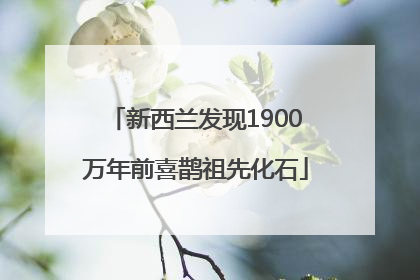 新西兰发现1900万年前喜鹊祖先化石