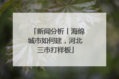 新闻分析丨海绵城市如何建，河北三市打样板