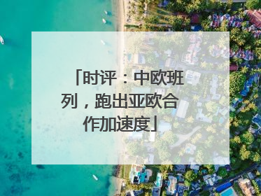 时评：中欧班列，跑出亚欧合作加速度