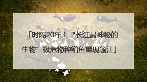 时隔20年！“长江最神秘的生物”极危物种鳤鱼重现赣江