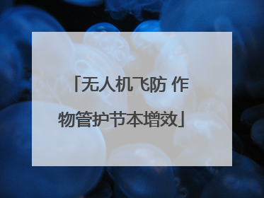 无人机飞防 作物管护节本增效