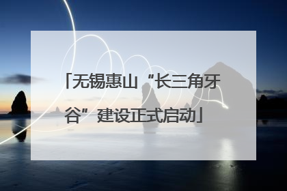 无锡惠山“长三角牙谷”建设正式启动