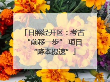 日照经开区：考古“前移一步” 项目“降本提速”