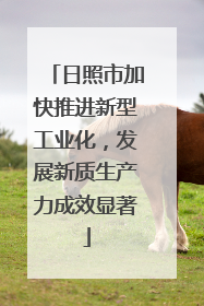 日照市加快推进新型工业化，发展新质生产力成效显著