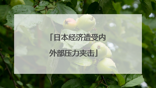 日本经济遭受内外部压力夹击
