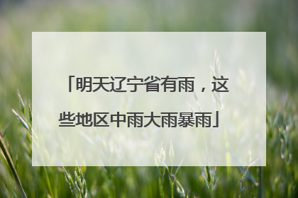 明天辽宁省有雨，这些地区中雨大雨暴雨