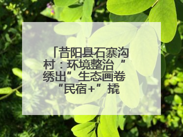 昔阳县石寨沟村：环境整治“绣出”生态画卷 “民宿+”撬动农文旅融合