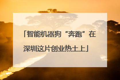 智能机器狗“奔跑”在深圳这片创业热土上