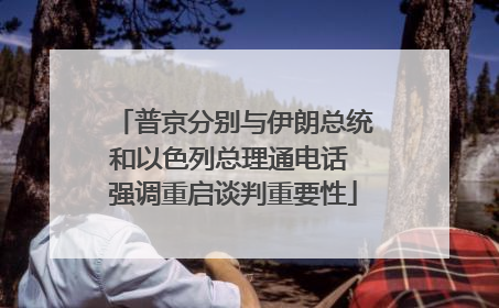 普京分别与伊朗总统和以色列总理通电话 强调重启谈判重要性