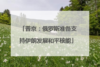 普京：俄罗斯准备支持伊朗发展和平核能