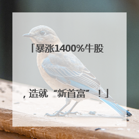 暴涨1400%牛股，造就“新首富”！