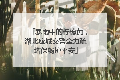 暴雨中的柠檬黄，湖北应城交警全力疏堵保畅护平安