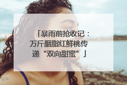 暴雨前抢收记：万斤胭脂红鲜桃传递“双向甜蜜”