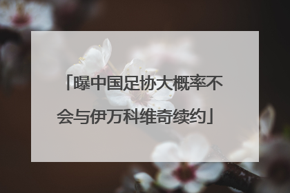 曝中国足协大概率不会与伊万科维奇续约