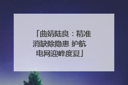 曲靖陆良：精准消缺除隐患 护航电网迎峰度夏