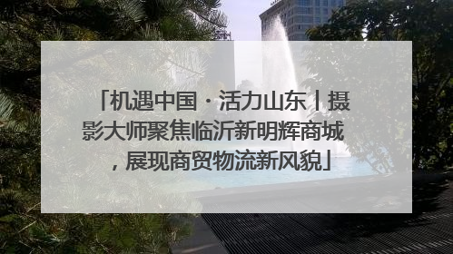 机遇中国・活力山东丨摄影大师聚焦临沂新明辉商城，展现商贸物流新风貌