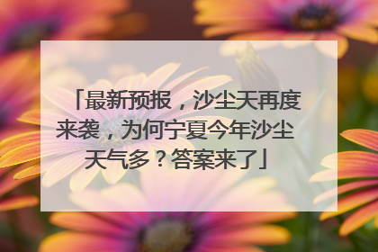 最新预报，沙尘天再度来袭，为何宁夏今年沙尘天气多？答案来了
