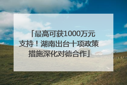 最高可获1000万元支持！湖南出台十项政策措施深化对德合作