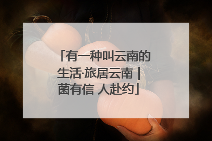 有一种叫云南的生活·旅居云南｜菌有信 人赴约
