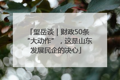 望岳谈｜财政50条“大动作”，这是山东发展民企的决心