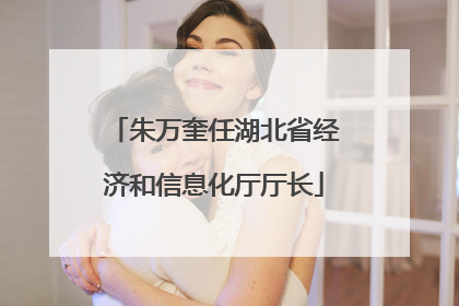 朱万奎任湖北省经济和信息化厅厅长
