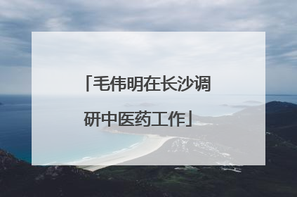 毛伟明在长沙调研中医药工作