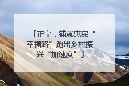 正宁：铺就惠民“幸福路”跑出乡村振兴“加速度”