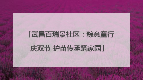 武昌百瑞景社区：粽意童行庆双节 护苗传承筑家园