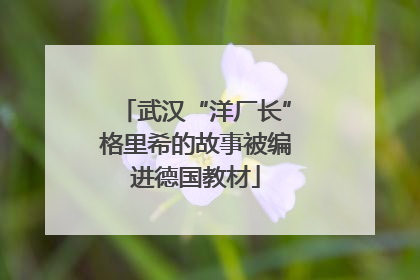 武汉“洋厂长”格里希的故事被编进德国教材