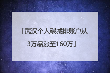 武汉个人碳减排账户从3万暴涨至160万