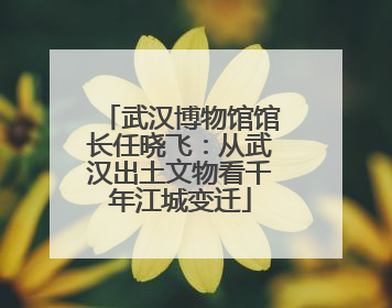 武汉博物馆馆长任晓飞：从武汉出土文物看千年江城变迁